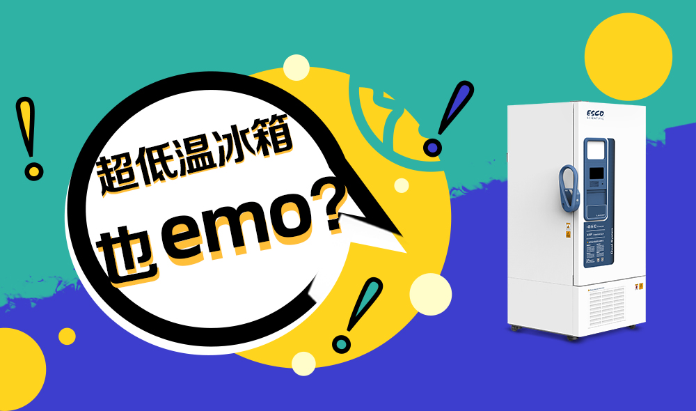 超低溫冰箱小課堂：凍住科學(xué)小確幸