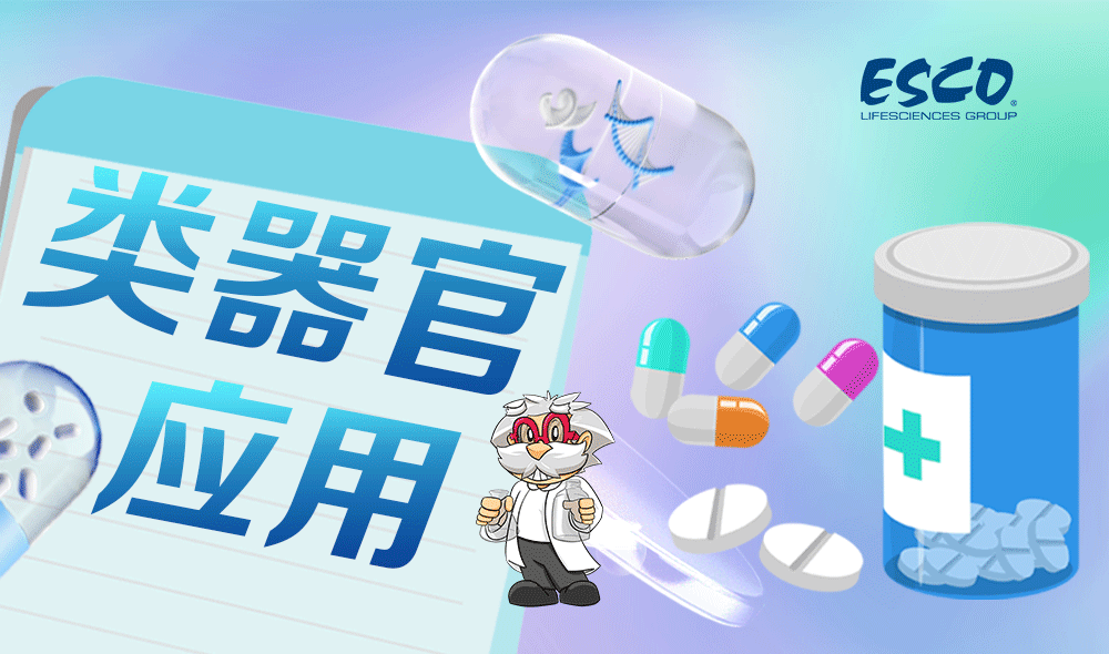 類器官技術(shù):生物醫(yī)學(xué)的革新力量
